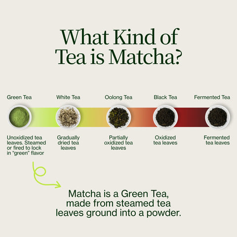 Wazuka Tea Nakai Superior