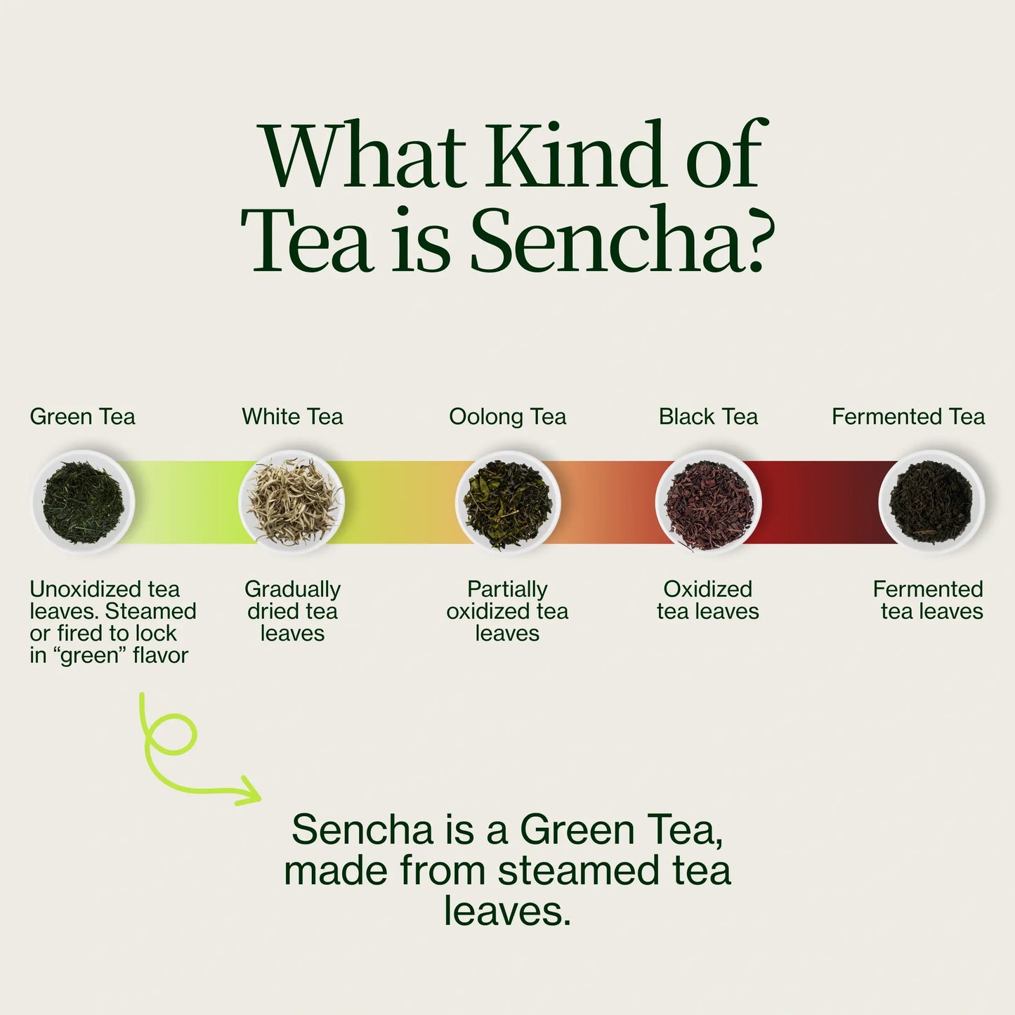 Henta Sencha Asanoka