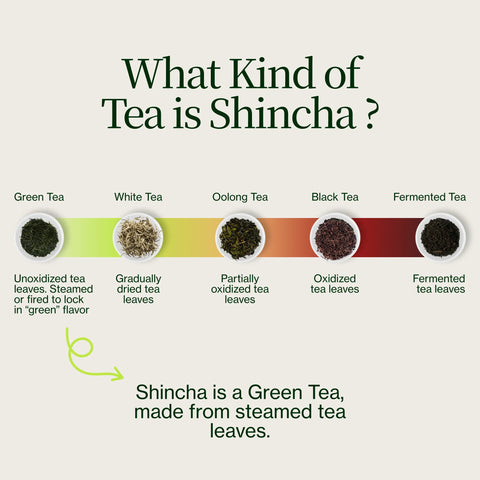 Shincha Tanegashima Kuritawase 2026